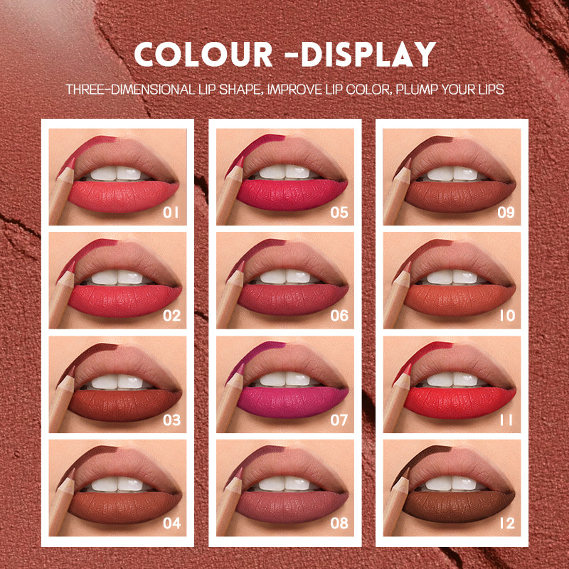 Precision pout lip liner kit 12 colors
