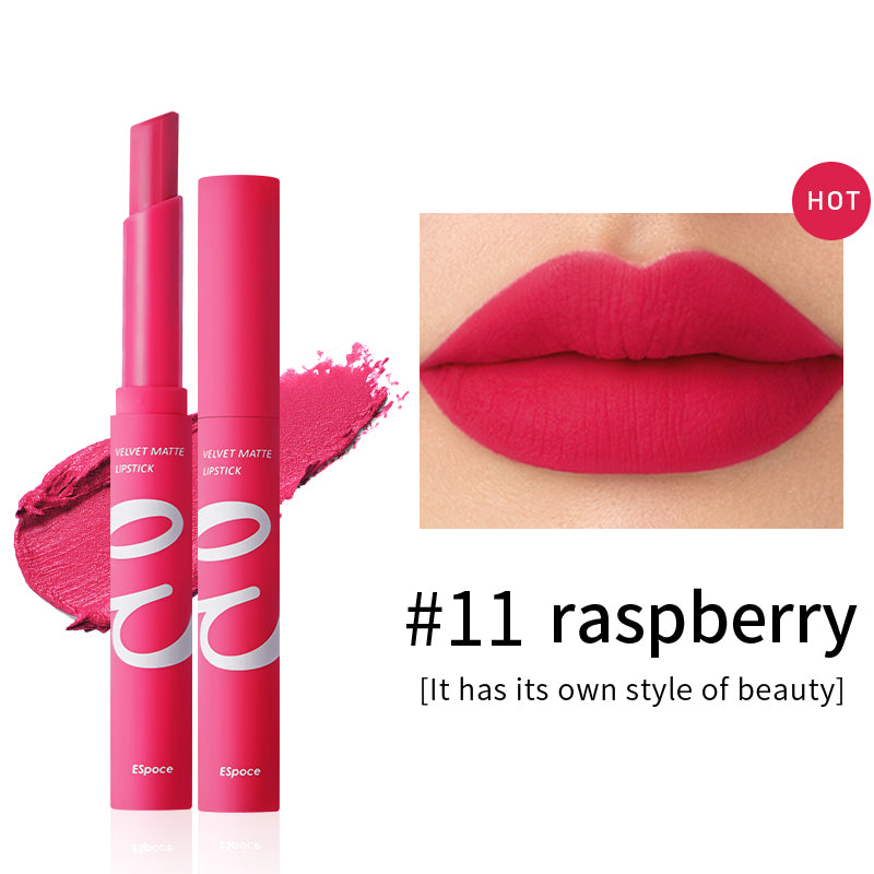 Air Matte 12 Nude and Coral Shades Lipstick | Espoce®