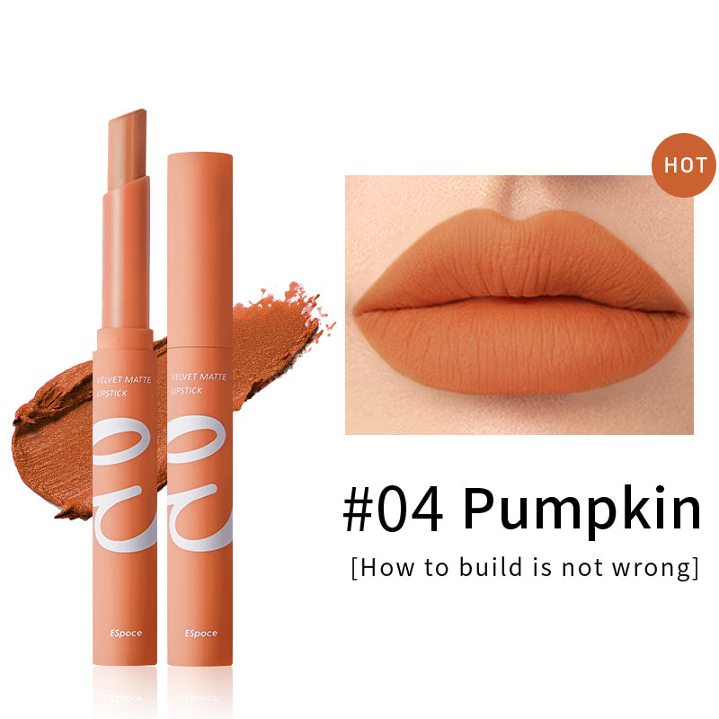 Air Matte 12 Nude and Coral Shades Lipstick | Espoce®
