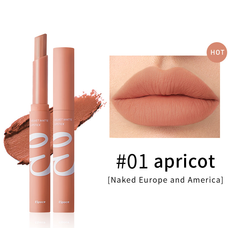 Air Matte 12 Nude and Coral Shades Lipstick | Espoce®